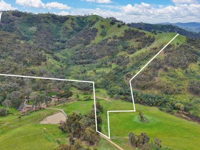 129.9* Acres of High Country Freedom
