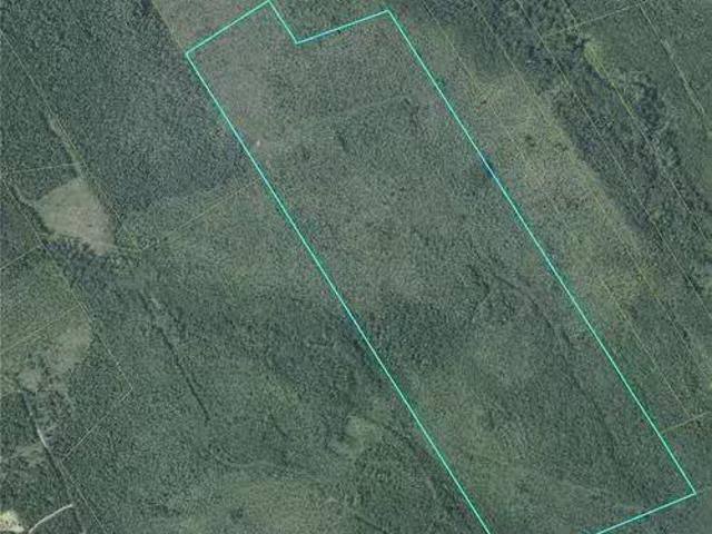 129 Acres 340 Rte, Canobie, NB, E2A 5E7 vacant land for sa.