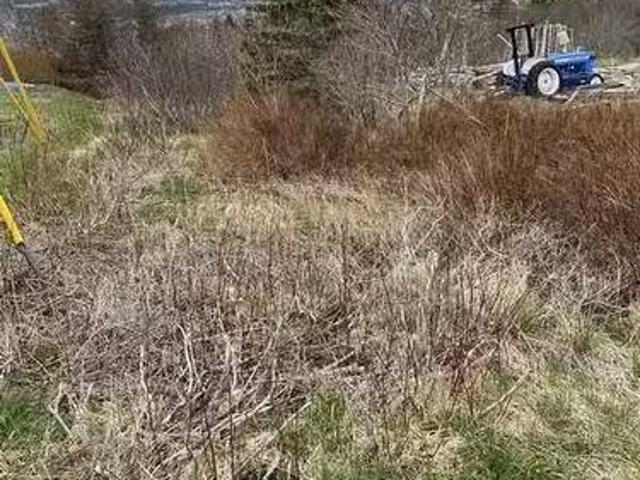 129A English Hill Road, Carbonear, NL, A1Y 1A8 vacant land f.