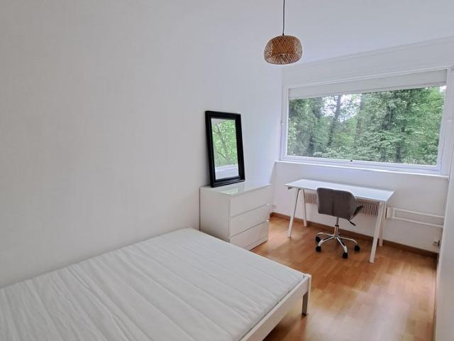 12 16 rue de la côte NANCY Idéal pour colocation