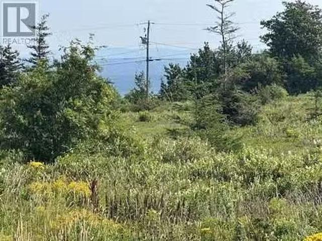 12 32 Blueberry Road, Bryants Cove, NL, None vacant land for.