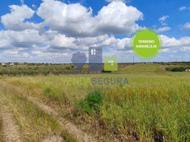 1/2 Terreno agrícola | Amareleja