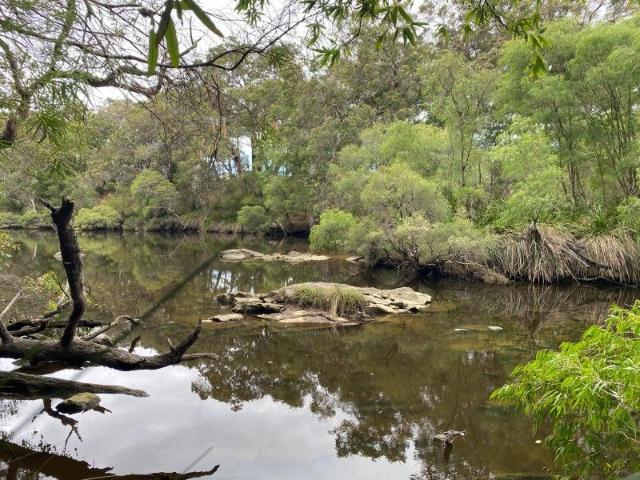 12 Acres Of Paradise!