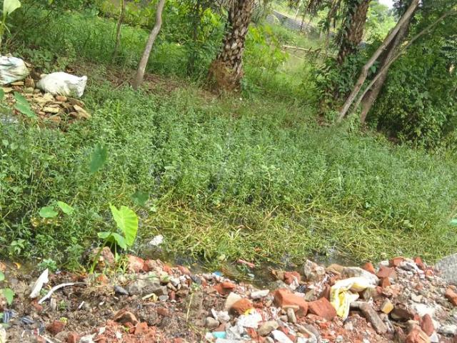 12 BHK Farm House in Baruipur for rent Kolkata. The reference number is 20798275