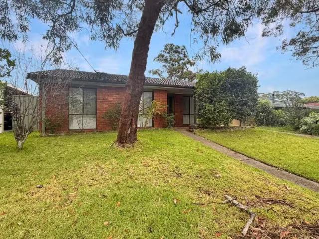 12 Boronia Crescent, Winmalee House for rent Listed by Proper.