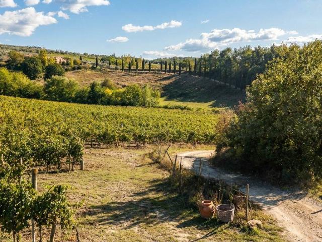 12 Camere Casale in Toscana In Vendita A1190rc18307 854m² Reggello