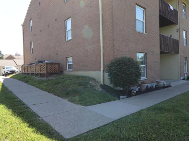 12 Meadow Lane # 3