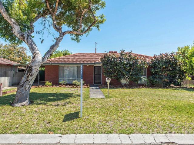 12 Mimbalup Close, HILLMAN, WA 6168