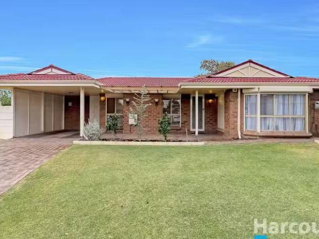 12 Micrometer Place, MULLALOO, WA 6027 House for Rent