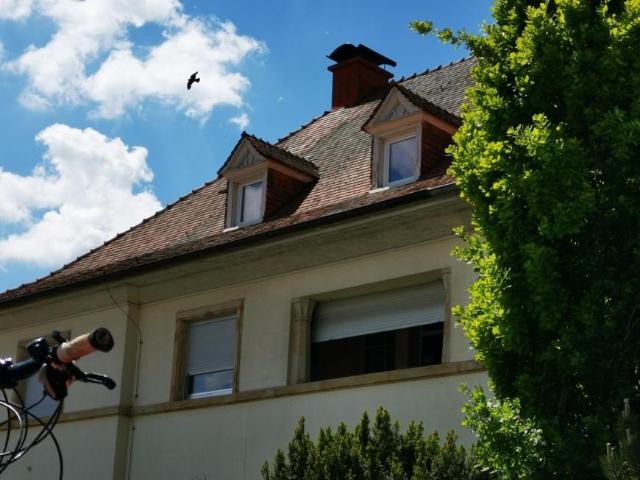 12 Schlafzimmer Haus Wörrstadt Deutschland 105049780