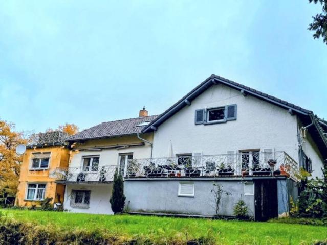 12 Schlafzimmer Haus Kaiserslautern Deutschland LS104228484