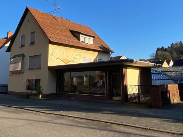 12 Schlafzimmer Villa Zweibrücken Zweibrücken 105444783