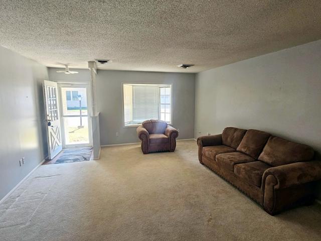 1305 Meadowbrook Drive 29