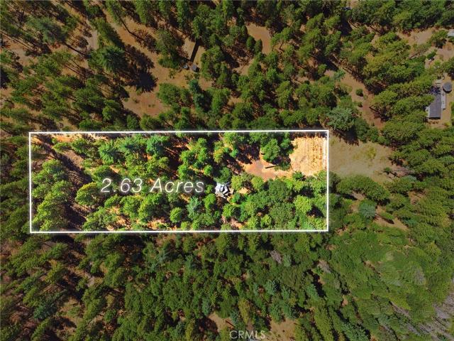 13081 Doe Mill Road