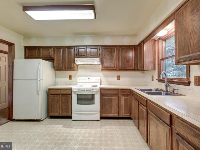 1309 Paw Drive
