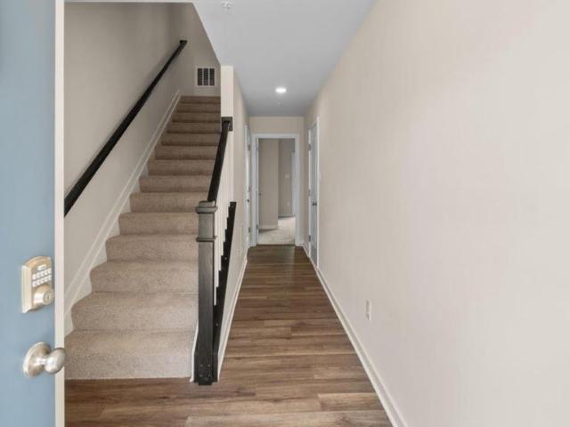 130 Soft Rush Lane