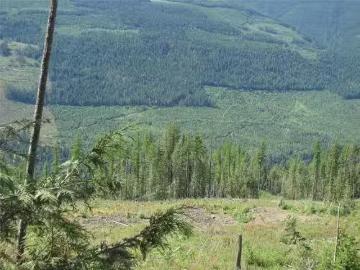 130Acres Sugar Lake Sihlis Road, Vernon, BC, V1H 2B1 vacant.