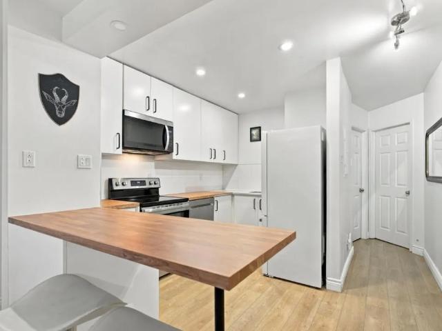 1317 Rue Panet, H2L 2Y6, H2L 2Y6, Montréal