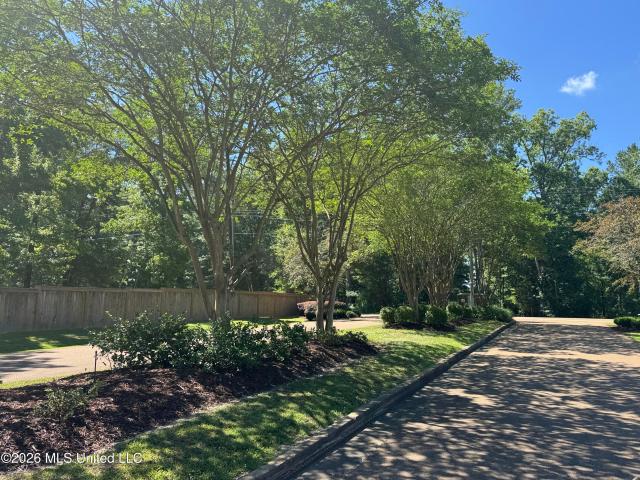 131 Magnolia Boulevard