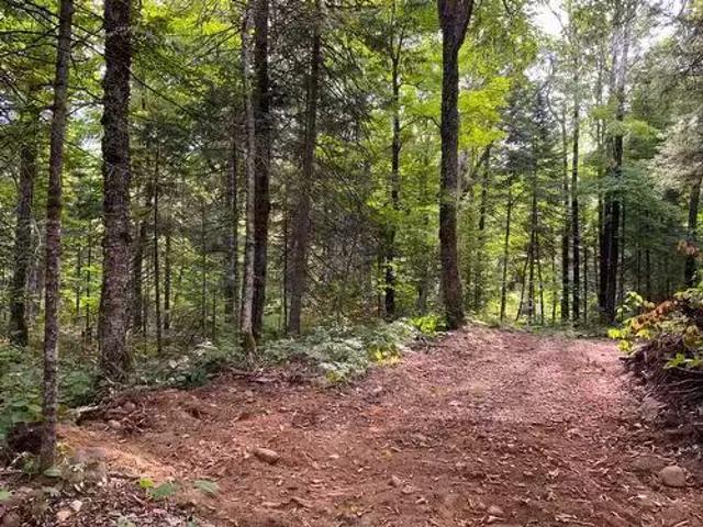 131 Mtée Rochon, Ripon, QC, J0V 1V0 vacant land for sale Li.