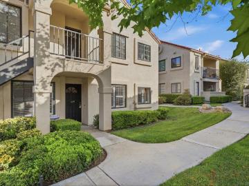 13227 Wimberly 263