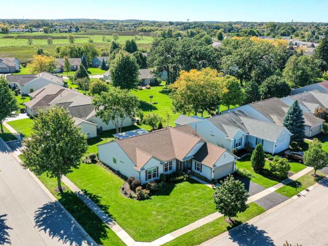13229 Jasmine Lane