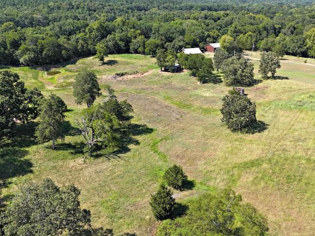 1337 Polk Road 38