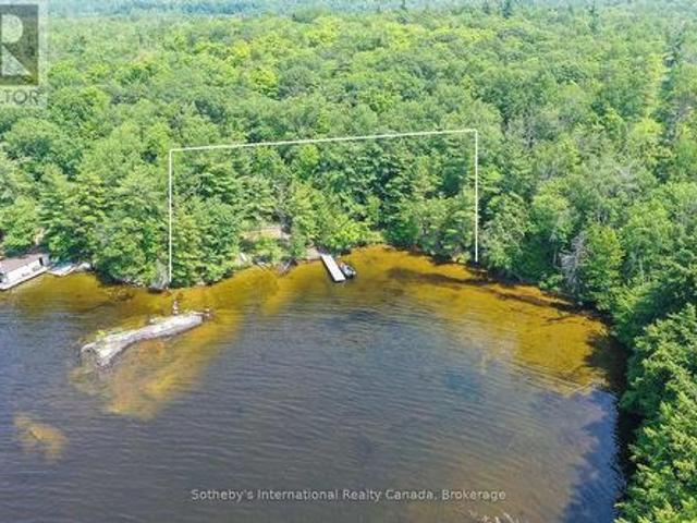 1338 Browning Island, Bracebridge. Muskoka N, ON, P1L 1X2 house for sale | Listing ID X13801 | Royal LePage