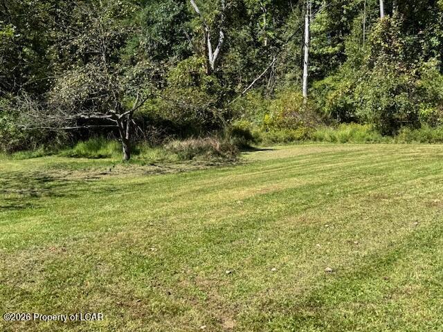 133 Maple Tree Road