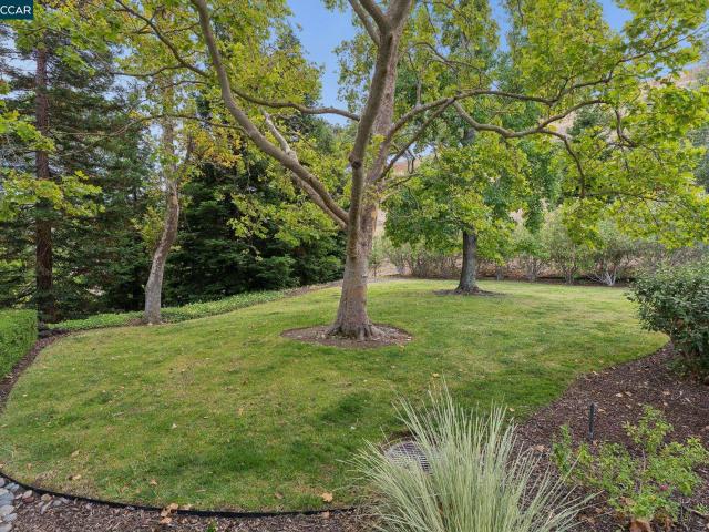 1349 Running Springs Rd 4