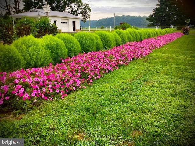 1340 Hazlettville Rd, Camden Wyoming, DE 19934 | MLS #DEKT2043