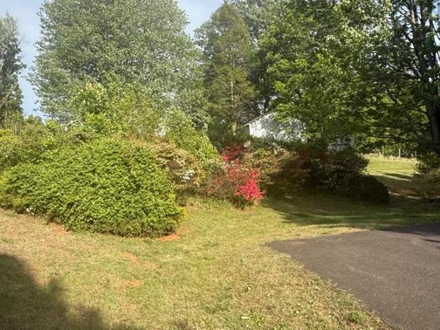 13420 chestnut fork rd