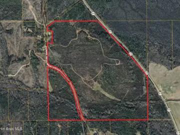 134+/ AC FANNIE BELL MORTON RD, MARION, AL 36756