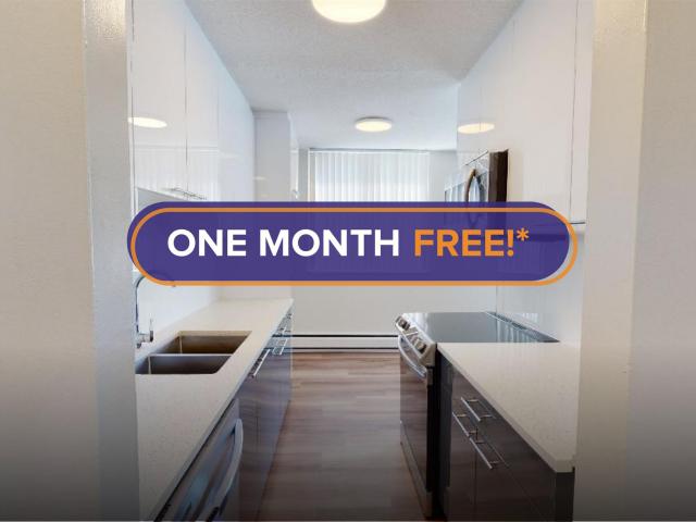 1355 West 14th 1355 West 14th Plan A Apartment for Rent