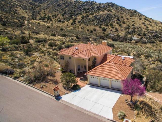 13516 Deer Trail Place NE