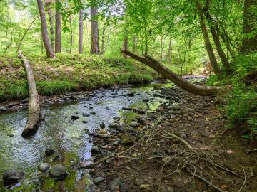 1352 County Road 185