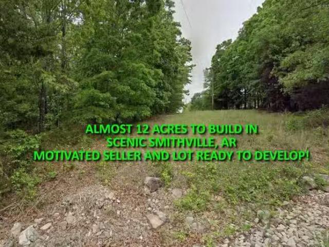 135 NELSONVILLE RD, SMITHVILLE, AR 72466