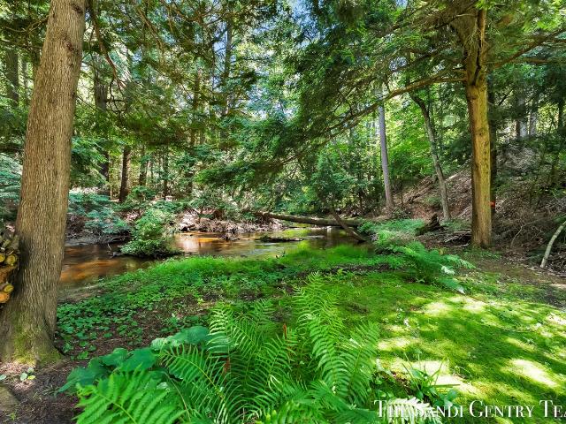 1360 E Bigelow Creek Trail