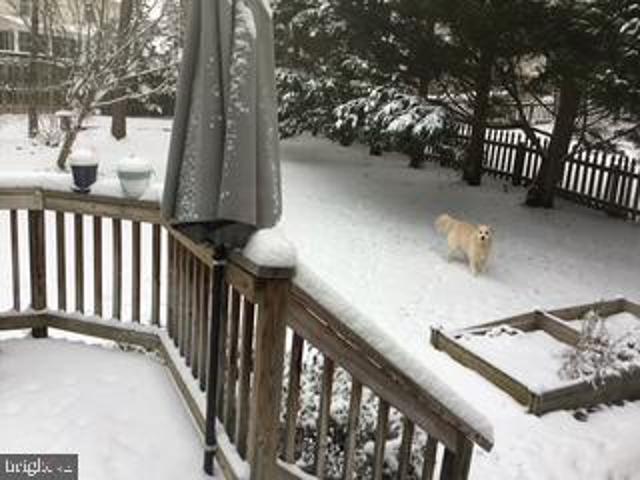 13616 S Springs Drive