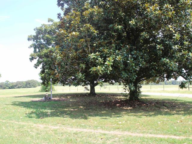 136 Fowler Road