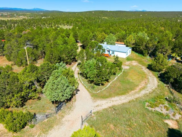 136 Holli Loop