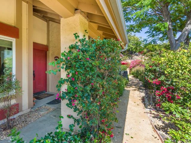 1374 Saddleback Trail