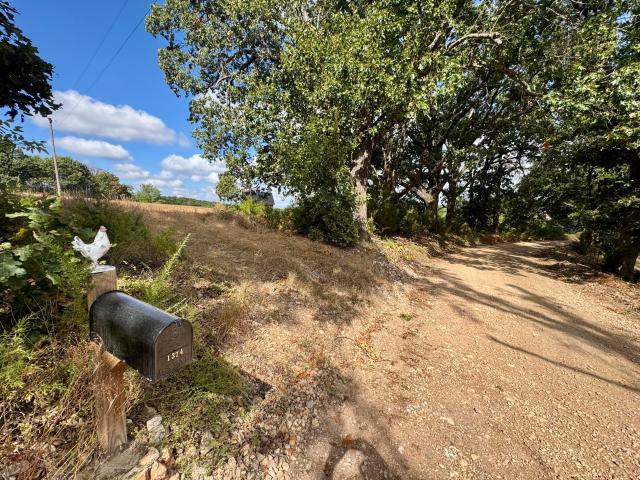 1374 Scotch Hollow Road