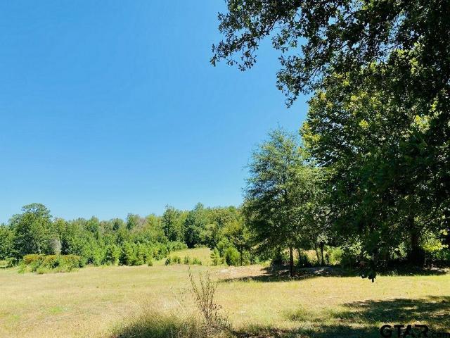 13701 N Us Hwy, Palestine, TX 75801 | MLS #23010