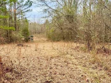 Choctaw County, Alabama, Alabama, USA