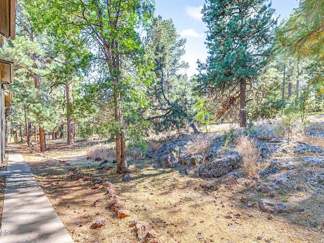 1385 W University Avenue # 272