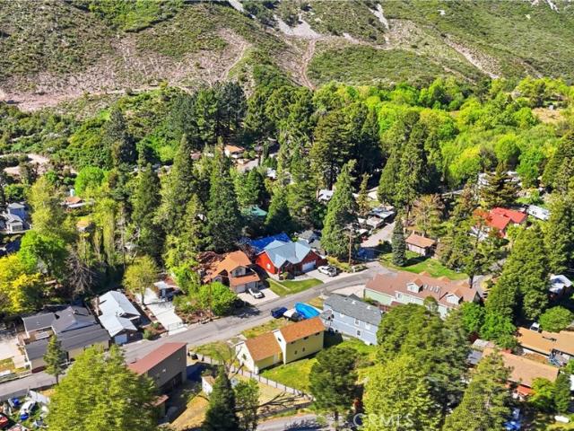 13894 Meadow