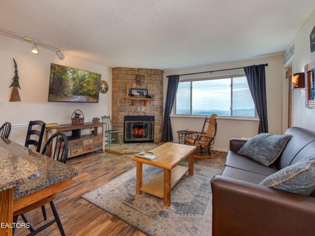 1380 Ski View Drive APT 5202
