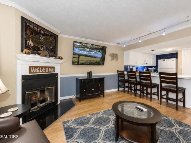 1380 Ski View Drive APT 1102