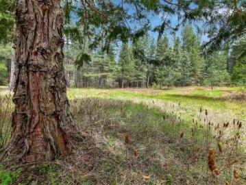 13824 BAKER RD, CAMPTONVILLE, CA 95922